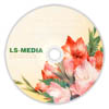  () LS-MEDIA DVD-R 4,7Gb 16x  bulk 50