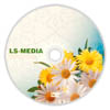  () LS-MEDIA DVD-R 4,7Gb 16x  bulk 50