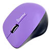    SmartBuy 309AG Purple