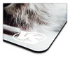 Коврик для мыши VS Cat (рис.5) 233х194х3 мм